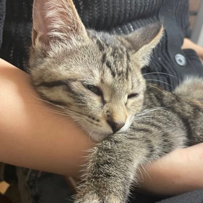 juki_iyell's profile picture. 22卒｜iYell株式会社｜離職率0％を実現したベンチャー｜4年連続GPTW受賞／3年連続ホワイト企業大賞受賞｜福利厚生が70個毎月1つ増加｜SaaSプロダクト導入700社突破！｜「何」をやるかより「誰」とやるか