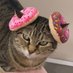 Cassie - The Most Famous Baker Cat (@cassiebakercat) Twitter profile photo Cassie - The Most Famous Baker Cat (@cassiebakercat) Twitter profile photo