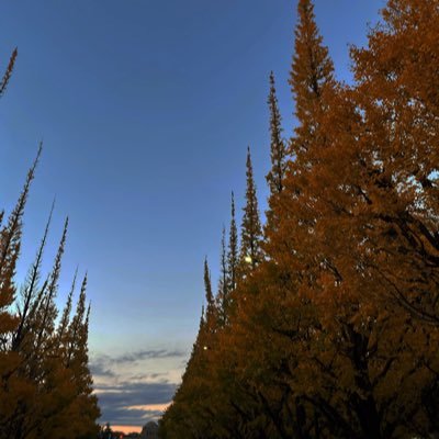 1ozarck22's profile picture. MPU