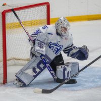 Calla frank (@calla_frank77) 's Twitter Profile