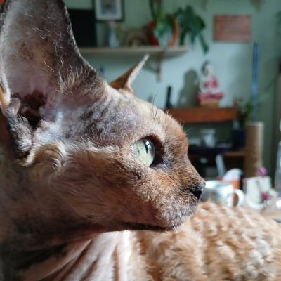 Katherine Butterley π‘πββ¬π΅πΈ Profile