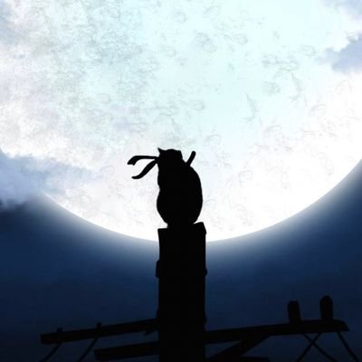 zzenbe02's profile picture. 