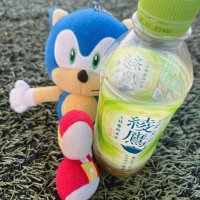 音速のハリネズミ🍵☀️ (@gera2haha2) 's Twitter Profile