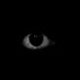 Pitchblack (@pitchblackafs) Twitter profile photo Pitchblack (@pitchblackafs) Twitter profile photo