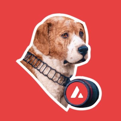BarryOnAvax's profile picture. $BARRY the Avalanche Dog was a famous Saint Bernard who lived in the early 1800s and became legendary for saving over 40 people from Avalanches.