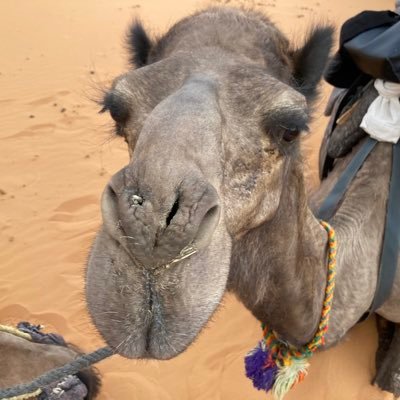 sukairoke888's profile picture. 投資初心者が億万長者になる垢です💕🦄とりあえず50万から始めました🚀情報収集、勉強メインで、日米個別株、投資信託、信用取引は無し📈