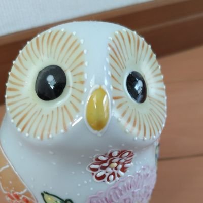 czhu701's profile picture. 