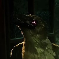 darkXwolf17 (@maxjohn14632645) 's Twitter Profile