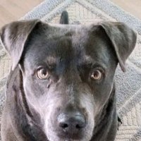 CaptainJim/Morehead City (@captain_jimnc) 's Twitter Profile