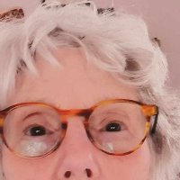 susanreader (@susanreader) 's Twitter Profile