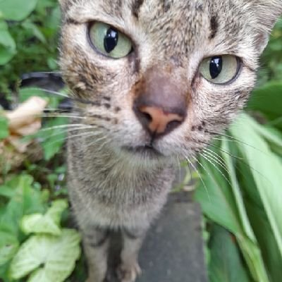 kian_keseki's profile picture. random things ° orangnya kadang kiddings || INFP || multifandom-anime-kutu komik- kpop • sedang mencoba meningkatkan literasi diri sendiri || @kian_kesekiart