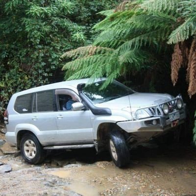 hewy1985's profile picture. it's the voices in my head