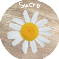 福祉パンLabo Sucre (@labo_sucre2024) Twitter profile photo