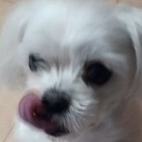 무난 (@moonan_seo) 's Twitter Profile Photo 무난 (@moonan_seo) 's Twitter Profile Photo