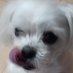 무난 (@moonan_seo) Twitter profile photo 무난 (@moonan_seo) Twitter profile photo