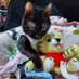 黒猫らぶにゃん🌽🌽🌽❤️😹😹🌽🌽🌽 (@miyuchi_715) Twitter profile photo 黒猫らぶにゃん🌽🌽🌽❤️😹😹🌽🌽🌽 (@miyuchi_715) Twitter profile photo