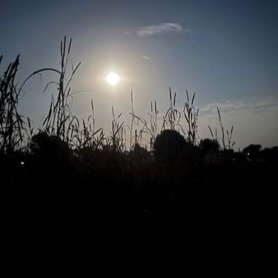 kaushik_indu's profile picture. here for memes 🌏