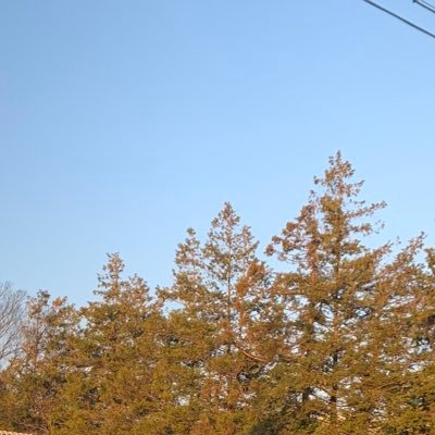 🌈🕒▷▶︎💡よりのつえー箱推し
