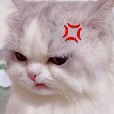 สลิปปี้ (ติ่งทุกคน)さんのプロフィール画像
