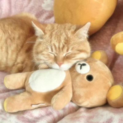 starry_miuuuu's profile picture. 