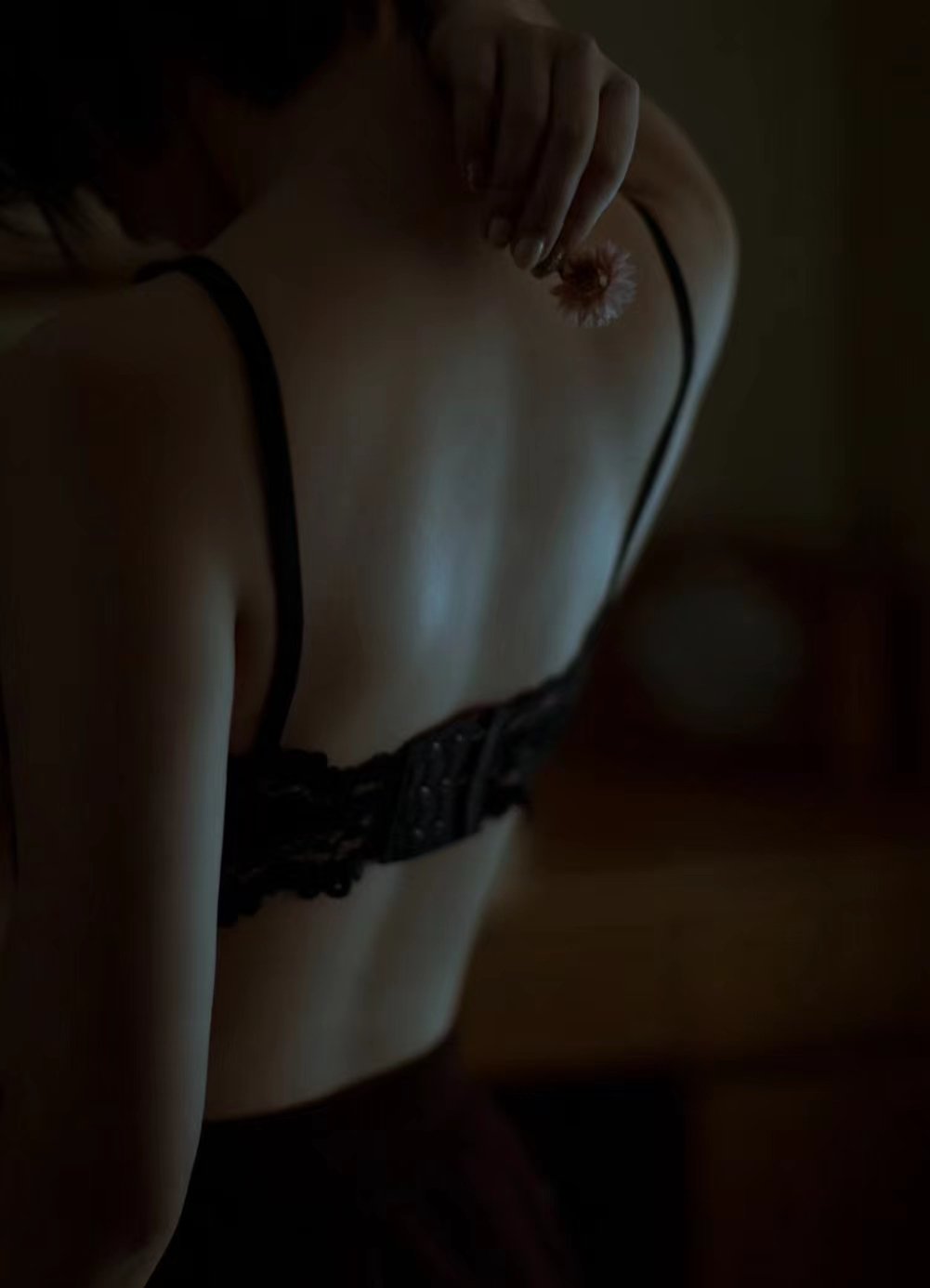 AnastacioB84672's profile picture. 40歳の妻で、性格が優しく、フィットネスが好き