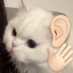 memewizd (@memewizd) Twitter profile photo memewizd (@memewizd) Twitter profile photo