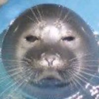 💧Ben (@buq02) 's Twitter Profile Photo 💧Ben (@buq02) 's Twitter Profile Photo