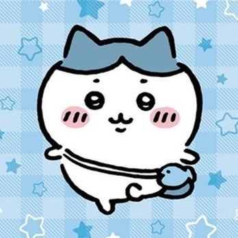 pmt97k's profile picture. ちい活中☺️ハチワレちゃん大好き♡ちい活しているにゃっ太さん推しです♡✨ #にゃっ太