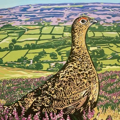 Proud mum to 3 gorgeous grown up girls, runs marketing business with the husband, loves to make Lino prints.