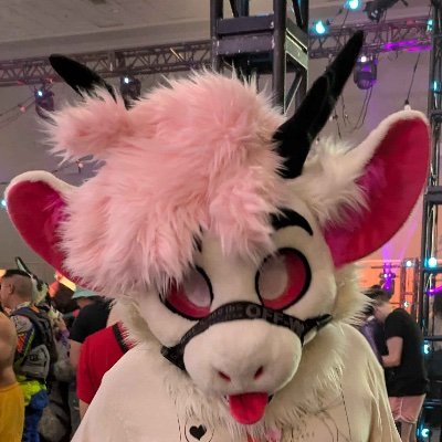 Pent up fursuiter Momochi, Public AD Account~ “Less groans, more moans~” 🐯 ❌+18 only❌