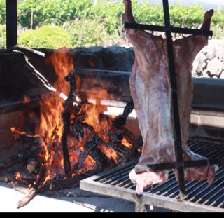 mojoriffic101's profile picture. human