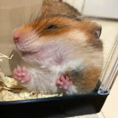 yuraさんのプロフィール画像