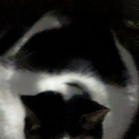 β (@mmeu2_cool_guy) Twitter profile photo