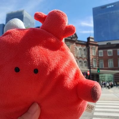 臨床検査技師(血液・生理)/心電図専門士(24C)・認定心電検査技師(24)/心電図検定4級(22B)→3級(23B)→2級(24C)/役者脚本演出/Webライター/全国献血ーリング/ドラムとベース/X🍞🌈胸オペ済ホル中/医療も芝居も音楽も何もかもたのしみつくしたい。