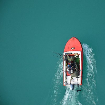 sarabia3526's profile picture. gamer