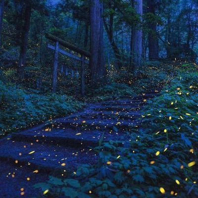 wti14763671's profile picture. 被世界抛弃的失败者