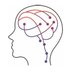 Body Pain Perception Lab (@bpplab_au) Twitter profile photo Body Pain Perception Lab (@bpplab_au) Twitter profile photo