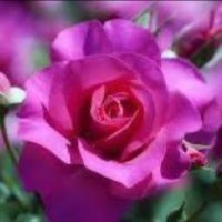 Isparta İtiraf ve Paylaşımm +18 (@cesur0032) 's Twitter Profile