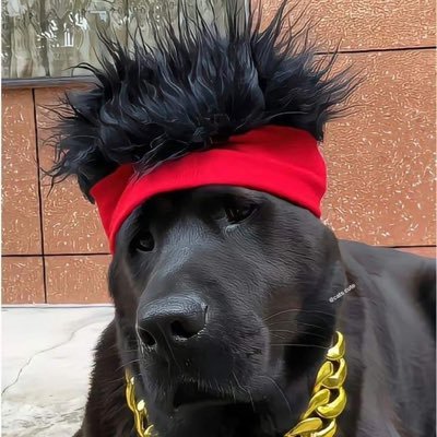 curoro000's profile picture. 👾🛡️ @wardenprotocol