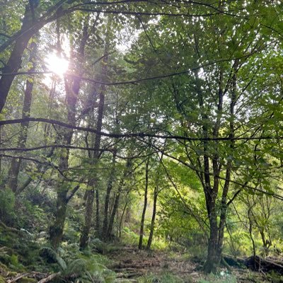 plosada's profile picture. A filla máis vella do Gelo e a Elena.