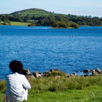 Lanetta Williams (@lanetta53) 's Twitter Profile