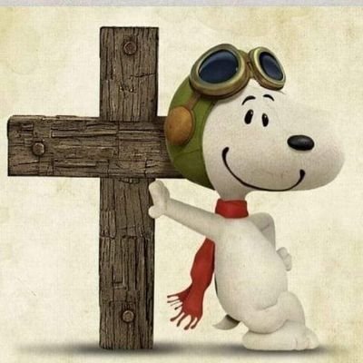 wisflthkg's profile picture. 