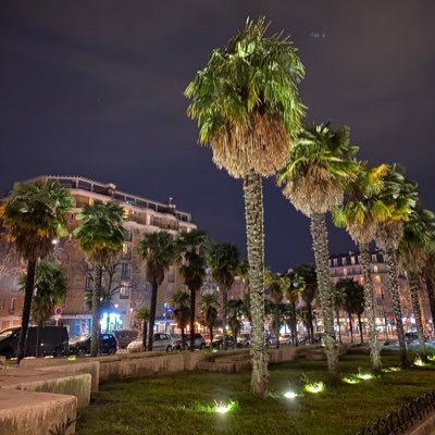 user94612's profile picture. 🇵🇸 @_hanmay jake