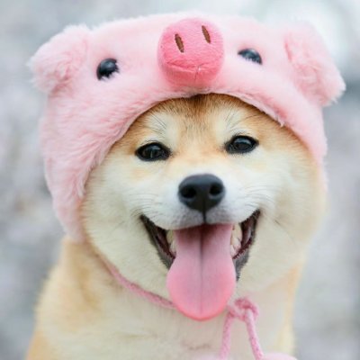 Liveod_'s profile picture. 私の姉は日本人と結婚しました。私は姉がうらやましいです。 日本のいろいろな文化が好きです。 今、毎日日本語を勉強しています