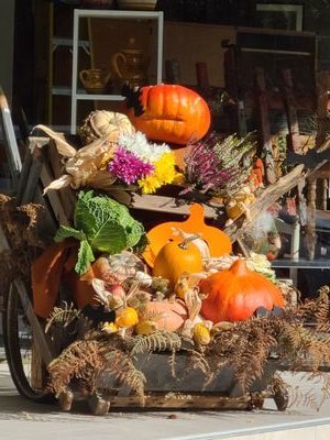 NocetC44990's profile picture. 