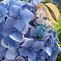 こはね (@_kohane_58) 's Twitter Profile