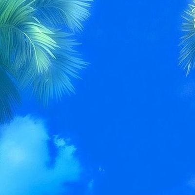 dannielbasil's profile picture. 