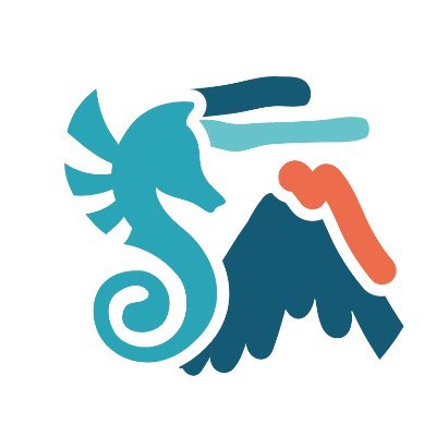 REVOSIMA_'s profile picture. Réseau de surveillance volcanologique et sismologique de #Mayotte. @IPGP_officiel @BRGM_fr @Ifremer_fr @INSU_CNRS