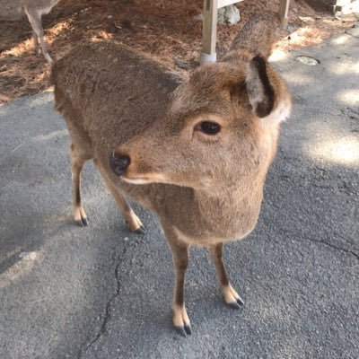 nkmeds's profile picture. サウナ・温泉好き