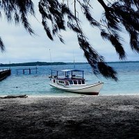 PW GP Ansor Jawa Tengah (@ansorcybermedia) 's Twitter Profile